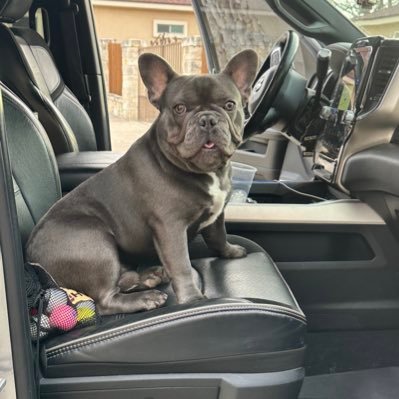 spookyman68's profile picture. 