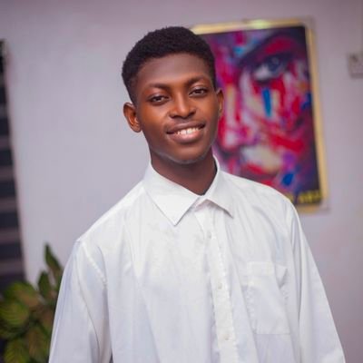 Samuelchukwuk12's profile picture. Product designer ( UI UX) / Graphics designer