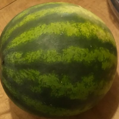 profile pic is watermelon I grew
banner is Kung Pao from scratch
I write fiction
In the past I have had problems posting insane rants
Male body
dragon spirit