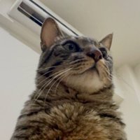 gh (@lghong0802) 's Twitter Profile