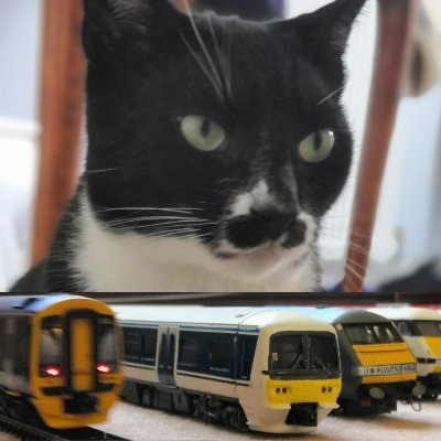 Also known as The UK Trainspotter on YouTube - Expect cat & train (and maybe plane 👀) pics 😸🚅✈️ - DMs open - #TMRGUK