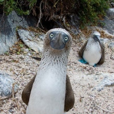 jonot21's profile picture. 