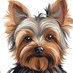 Yorkie Dog 🇬🇧🇺🇸🇮🇱 (@emilyshark3) Twitter profile photo