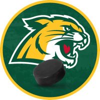 Northern Michigan Hockey(@NMUHockey) 's Twitter Profile Photo