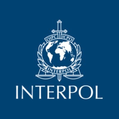 INTERPOL_TIGC Profile Picture