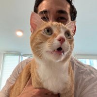 Bodoque (@mnrq_varsoto) 's Twitter Profile