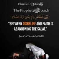 Muhammad Ibraheem (@muhamma70508718) 's Twitter Profile