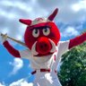 RibbyRazorback's profile picture. The official Twitter of Ribby the Razorback, mascot of @RazorbackBSB #OmaHogs #ThisIsBaseball