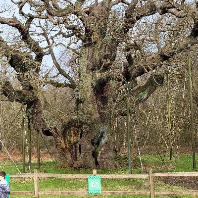 DBnarutonerd's profile picture. None party political, i like SDP but it's a wasted vote.
Fbpe auto  block
Tribalism is stupid. Stop it!

Final fantasy master
Dragonball nerd