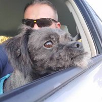 SCguy45 (@scguy451975) 's Twitter Profile Photo SCguy45 (@scguy451975) 's Twitter Profile Photo