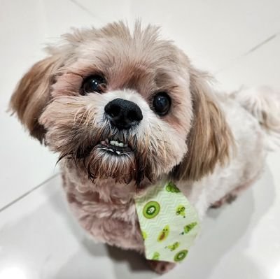 borisfeduxo's profile picture. 
