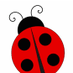 Ladybug Ideas (@LadyBugIdeas) Twitter profile photo