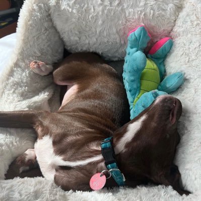 IsabelaJ79612's profile picture. 