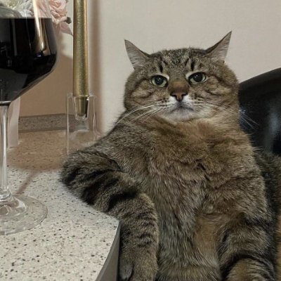 Suhrobali1307's profile picture. Realist.