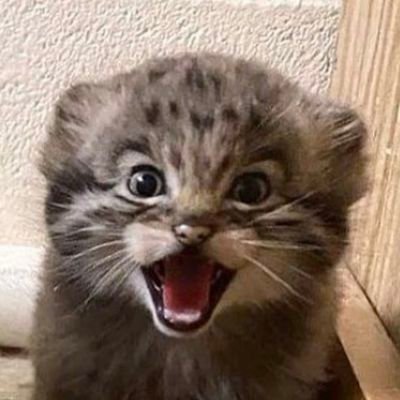 toonzday's profile picture. Comic Artist & Writer. so much sh!t going on and I can see it all thru this tiny screen