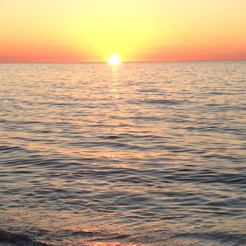 kmlohan's profile picture. Love of Travel, DMB and being up to date on all things news worthy!