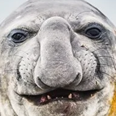 random75751's profile picture. 