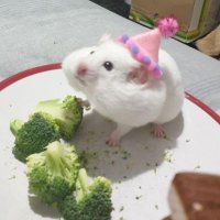 chiara 🍉 (@_snowgl0be) 's Twitter Profile