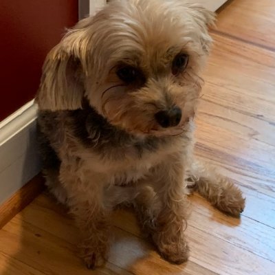 IgniterBlaze's profile picture. 