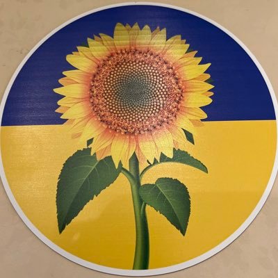 MaoDaYang's profile picture. #StandWithUkraine, "The price of liberty is eternal vigilance-Thomas Jefferson”#BFF4UA. No DM please.