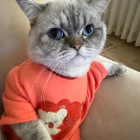 rewindzfnn (@rewindzfnn) 's Twitter Profile