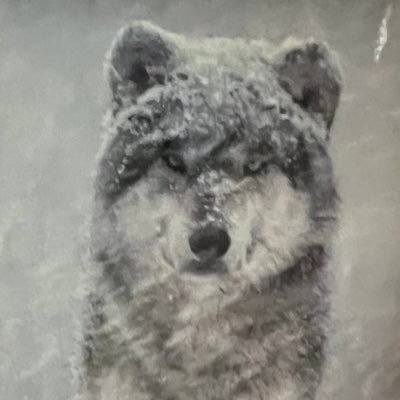 occupiesajob's profile picture. MAGA/Independent/TEXAN-Conservative. Think for Yourself. Anti-Vax Mandates. The less Govt there is the Better off we are. Live & Let Live.