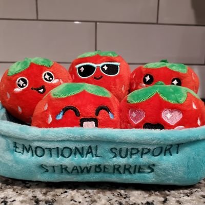 Sejik81's profile picture. 