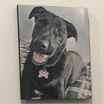 leafan73's profile picture. Husband and Dad first. Then I am a very amaturish photographer. I do other stuff too. Play guitar and work with families with troubled kids.