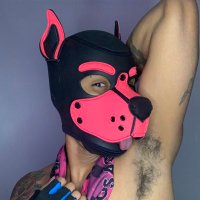 Loki_the_pup90 (@loki_the_pup90) 's Twitter Profile Photo Loki_the_pup90 (@loki_the_pup90) 's Twitter Profile Photo
