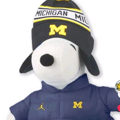 Sports lover of Umich Athletics.... My tweets are my own and subject to interpretation #GoBlue