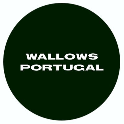 wallows portugal 🇵🇹