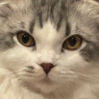 たあぼう(サブ) (@turbo_nd44) 's Twitter Profile