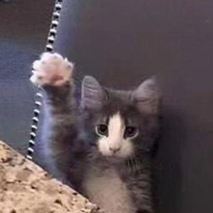 iwantfemboy's profile picture. bruh