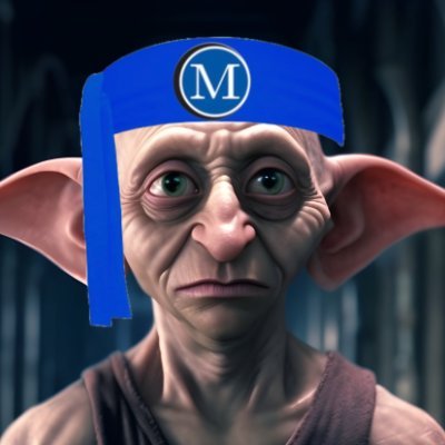 DeFiDobby Profile Picture