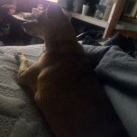 JoeJoe T (@joejoe_t20926) 's Twitter Profile