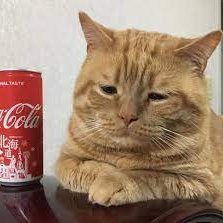 apb1565's profile picture. tenho 1,83m e um diagnóstico de autismo