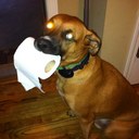 Erin T - @etarantino11 - Twitter