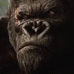 JuiceTheGorilla (@juicetheg55) 's Twitter Profile
