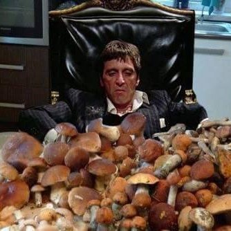 kaalakaz's profile picture. The only good thing that comes from the east is the sun
#NAFO