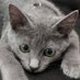 ๐ฎ๐ฉ F 3 R I ๐ฎ๐ฉ (@futhabarat) Twitter profile photo ๐ฎ๐ฉ F 3 R I ๐ฎ๐ฉ (@futhabarat) Twitter profile photo