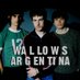 Wallows Argentina (@wallowsar) Twitter profile photo Wallows Argentina (@wallowsar) Twitter profile photo