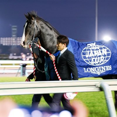 年間回収率アベレージ110〜120%的中率20〜30%。推し🐎 エイシンフラッシュ/スノーフェアリー/デゼル/ヴェラアズール/フォーエバーヤング/イグナイター