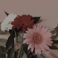 のあ (@yokunemuruman) 's Twitter Profile