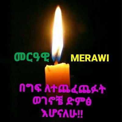 YAMRALKO1's profile picture. 