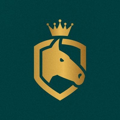 StableToStardom Profile Picture