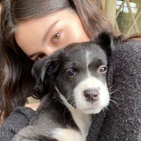 an. desativado (@julescurvs) 's Twitter Profile