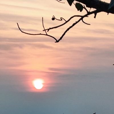 GaHongGauGau's profile picture. Giấc Mơ