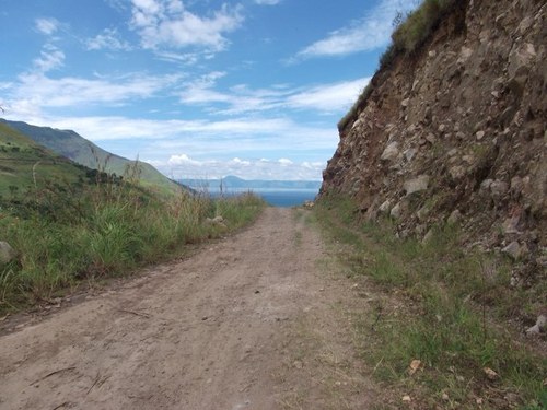 Doctor_Boy's profile picture. 耳鼻咽喉科医師