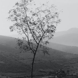 Lizhong1744Li's profile picture. 录家