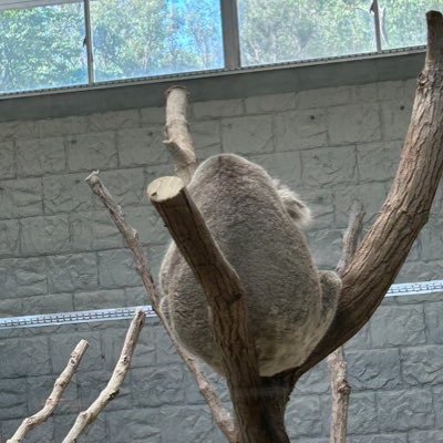 nonakacoara's profile picture. ひっそりと太鼓の達人とかしています/.23十段 .24十段/ぼっち